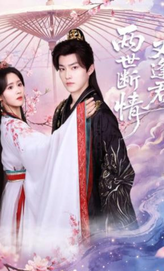 两世断情又逢君——桃花劫电视剧