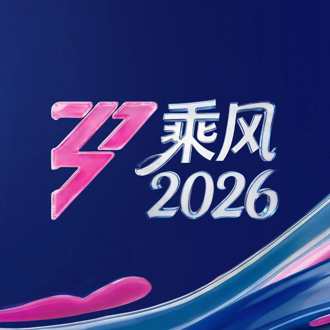 乘风2026——电视剧乡村爱情故事