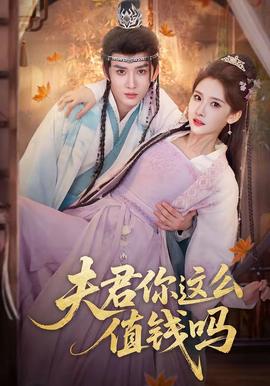 夫君你这么值钱吗——巡回检察组电视剧全集在线观看